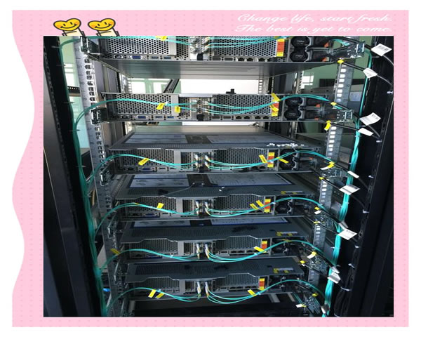 Choose A High-bandwidth Server To Help The Traffic Growth Of Taiwan Website Group